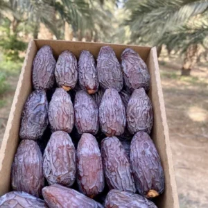 Super Jumbo premium